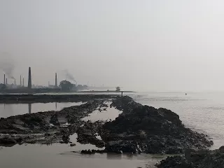 Photo of Kulpi, West Bengal, India by nomadic_ab