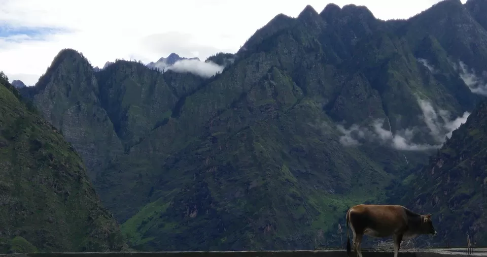 Photo of Joshimath, Joshimath, Uttarakhand 246443, India by Anand Verma