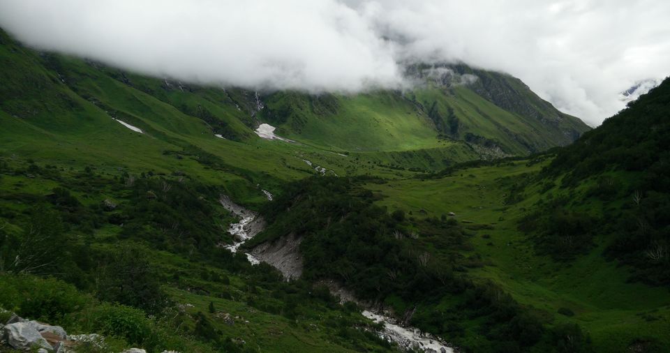 Photo of Valley of Flowers and Badrinath 6/15 by Anand Verma