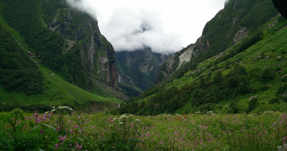 Photo of Valley of Flowers and Badrinath 10/15 by Anand Verma