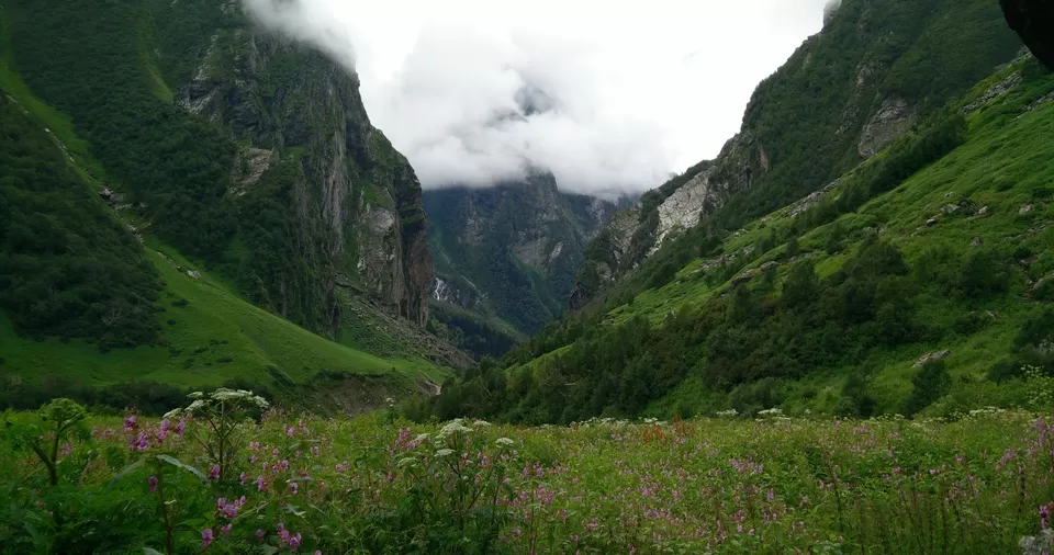 Photo of Valley of flowers, tehsil- joshimath , Ghangaria, Chamoli, Uttarakhand 246443, India by Anand Verma