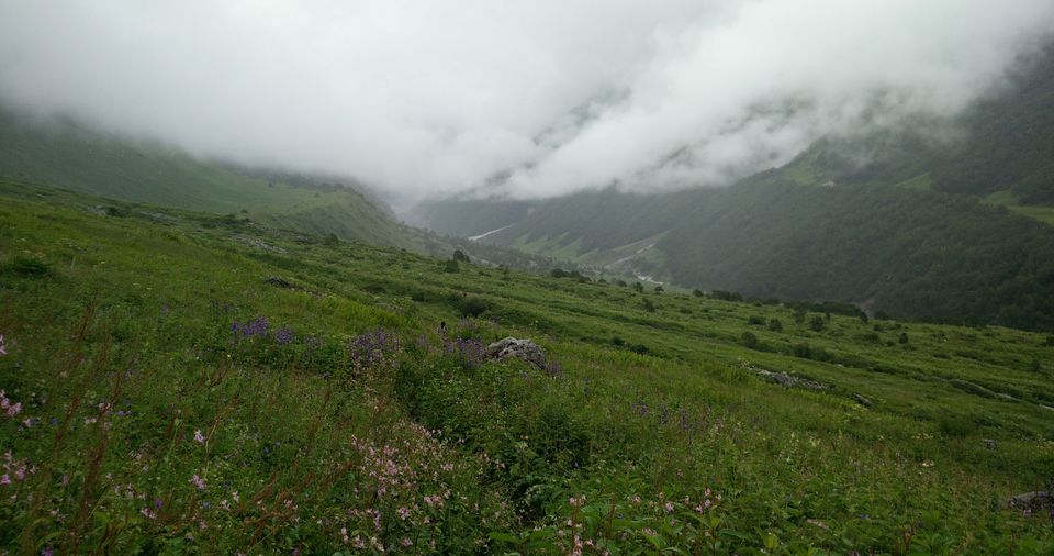 Photo of Valley of Flowers and Badrinath 12/15 by Anand Verma