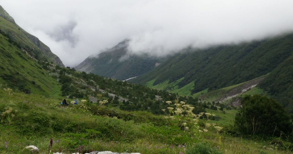 Photo of Valley of Flowers and Badrinath 13/15 by Anand Verma