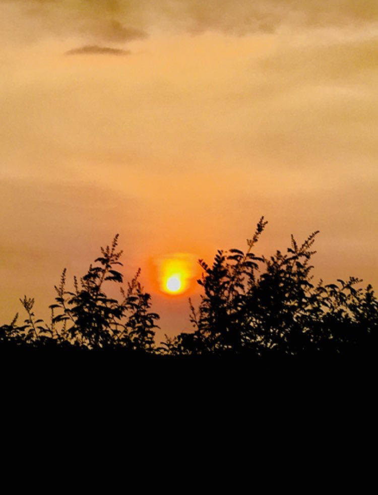 Photo of Nagarjuna Sagar Dam, India by Ujala Kashyap