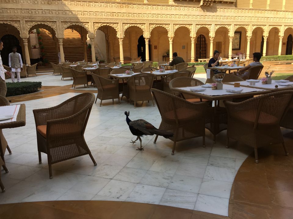 Photo of 4 Best Things to do in Jaisalmer by Ujala Kashyap
