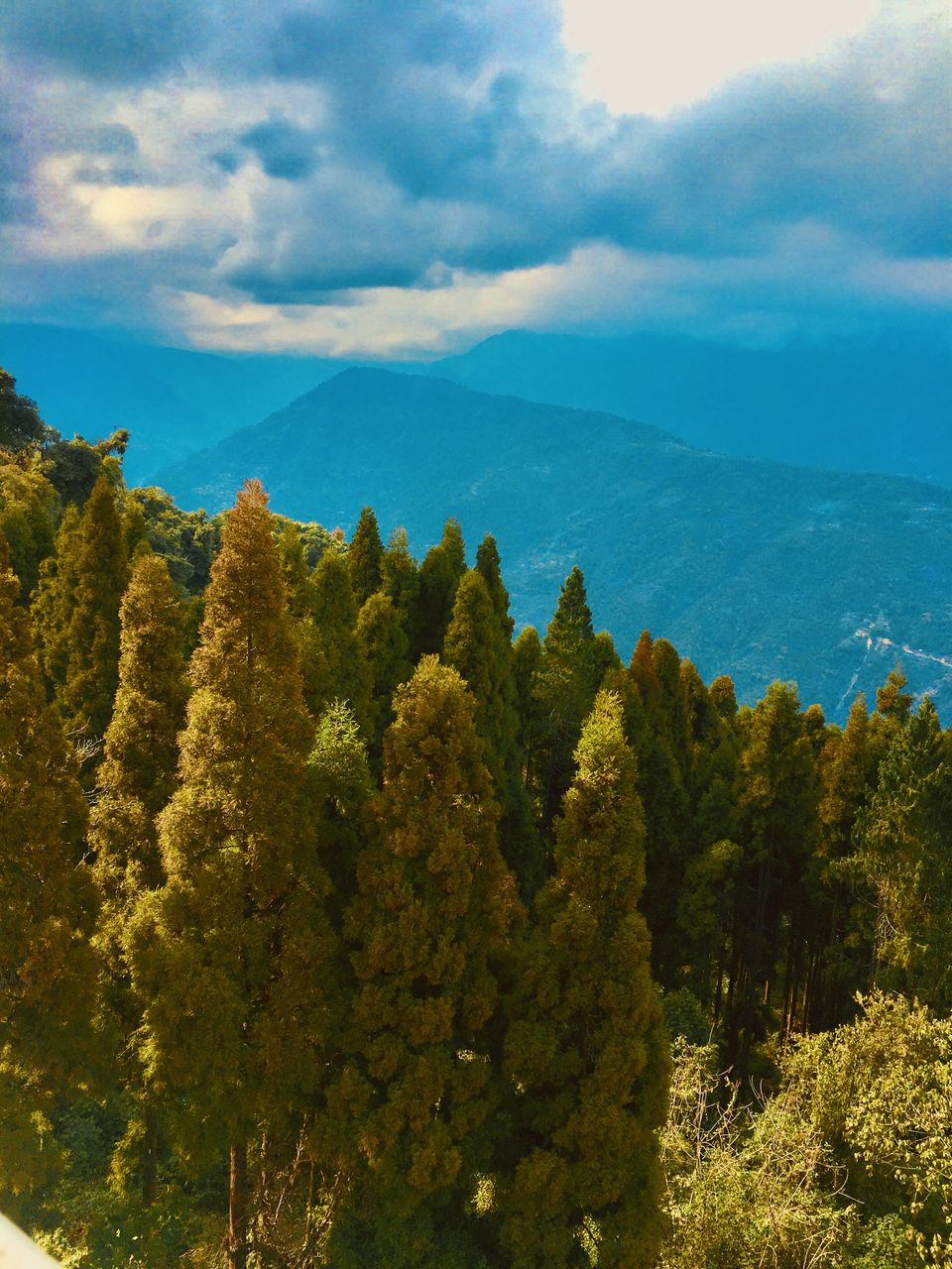 Photo of Pelling- A Slice of heaven in the Himalayas by Ujala Kashyap