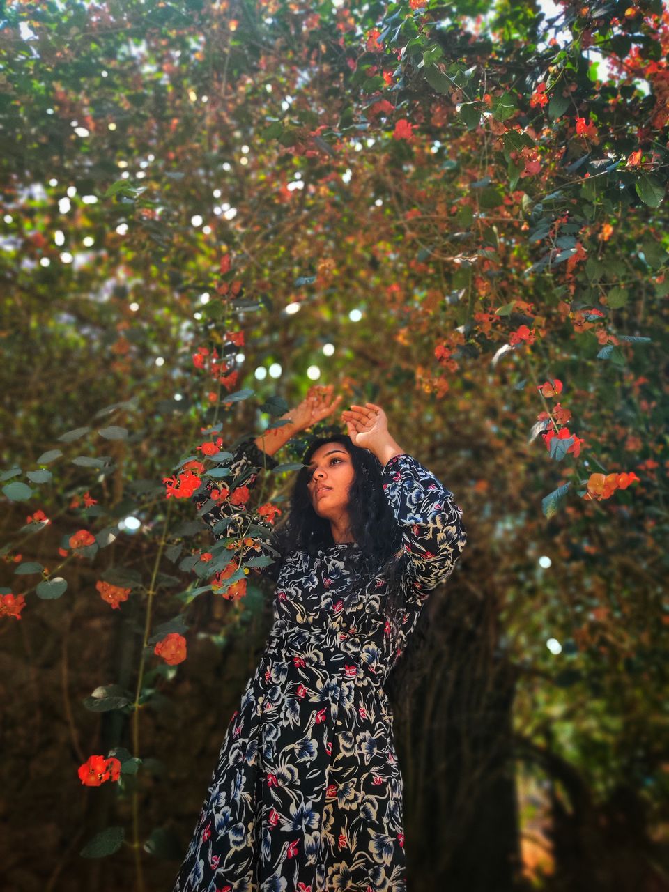 Photo of Have you ever communicated with Trees? What if I tell you trees really do talk? #itsjustme #trek by Travel Clues