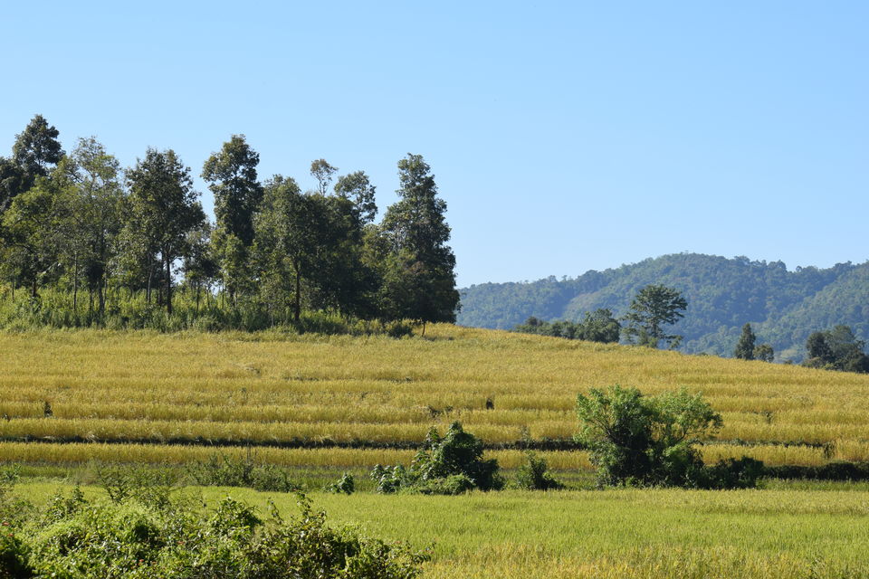 Photo of MASLADIANG. The unexplored serenity of natural ambiance in West Karbi Anglong, Assam. by Bijoy Bey