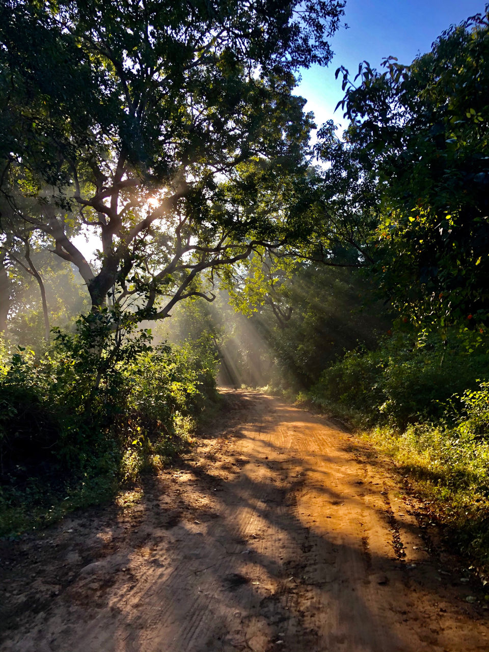 Photo of Uttarakhand - Devabhumi Of India by Tulsi Desai