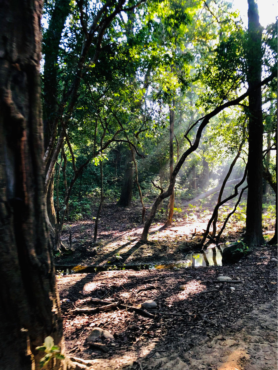 Photo of Uttarakhand - Devabhumi Of India by Tulsi Desai