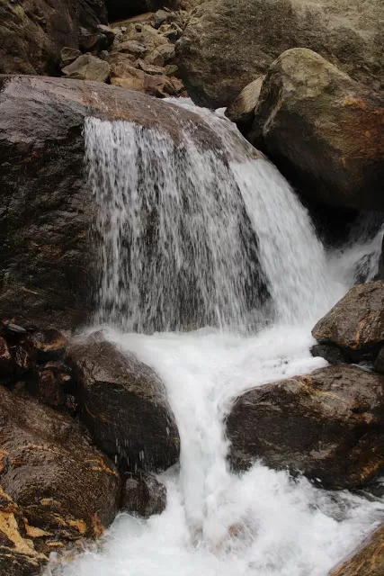 Photo of Naga Falls, Sikkim, India by Ritu Tomar