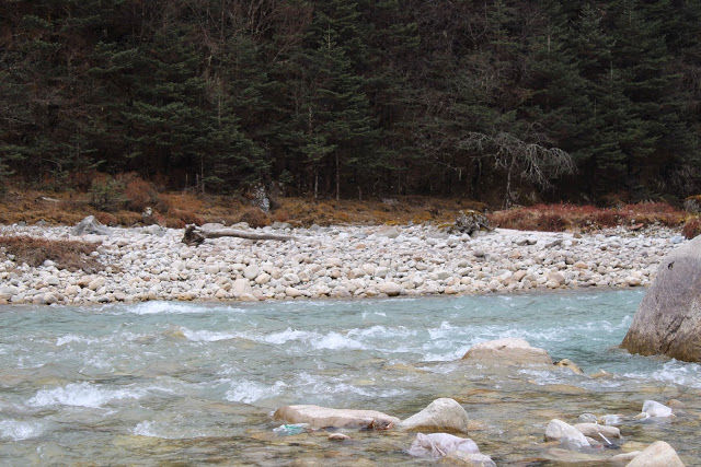 Photo of NORTH SIKKIM PART 1 by Ritu Tomar