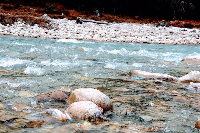 Photo of NORTH SIKKIM PART 1 by Ritu Tomar