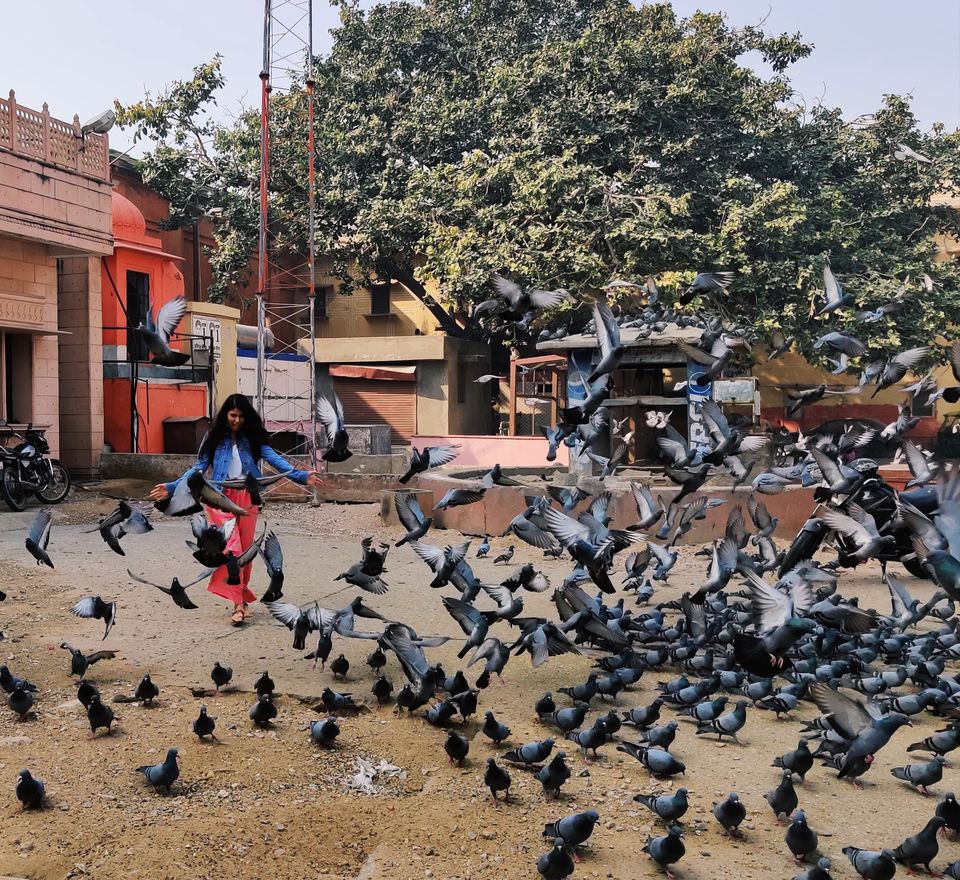 Photo of Vibrant Rajasthan: 3 days in Jodhpur-Jaipur in 5K by Woman_who_wanderz