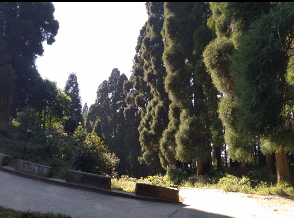 Photo of When i visited the haunted place on earth, Dowhill, Kurseong with my girlfriend..!!What happened?? by Gulshan Sah