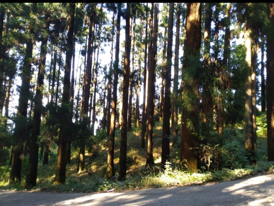 Photo of When i visited the haunted place on earth, Dowhill, Kurseong with my girlfriend..!!What happened?? by Gulshan Sah