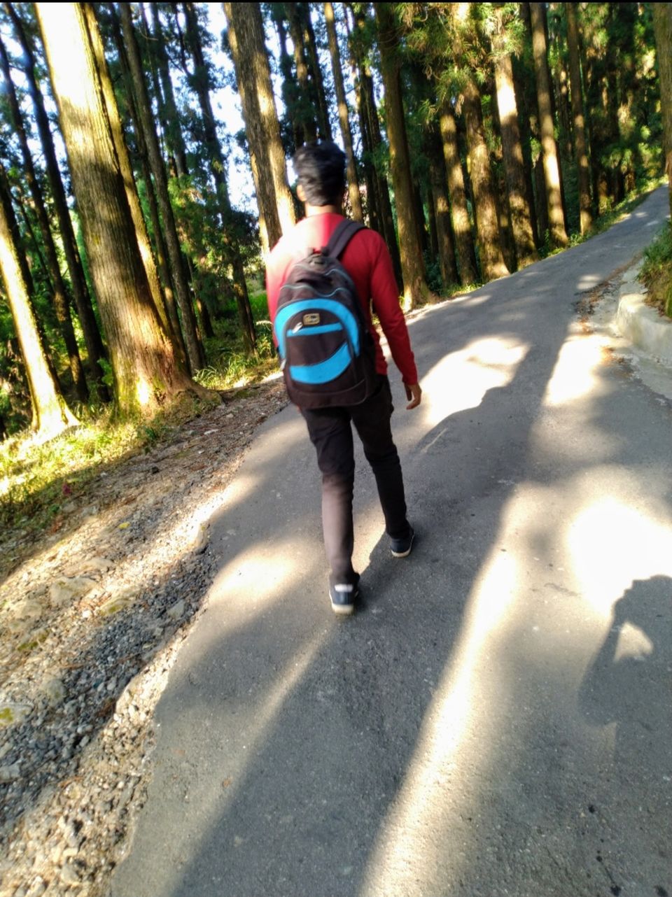 Photo of When i visited the haunted place on earth, Dowhill, Kurseong with my girlfriend..!!What happened?? by Gulshan Sah