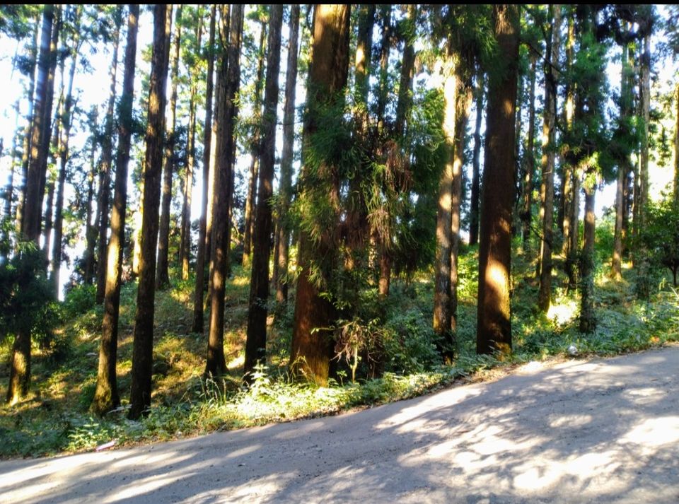 Photo of When i visited the haunted place on earth, Dowhill, Kurseong with my girlfriend..!!What happened?? by Gulshan Sah