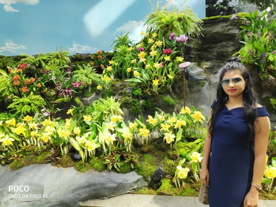 Photo of Singapore, a country with everything. by Nikhil Nanaware
