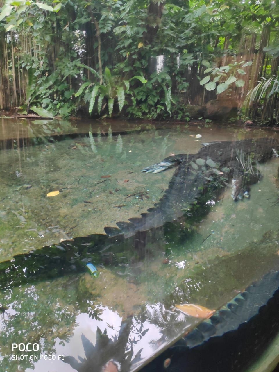 Photo of Singapore, a country with everything. by Nikhil Nanaware