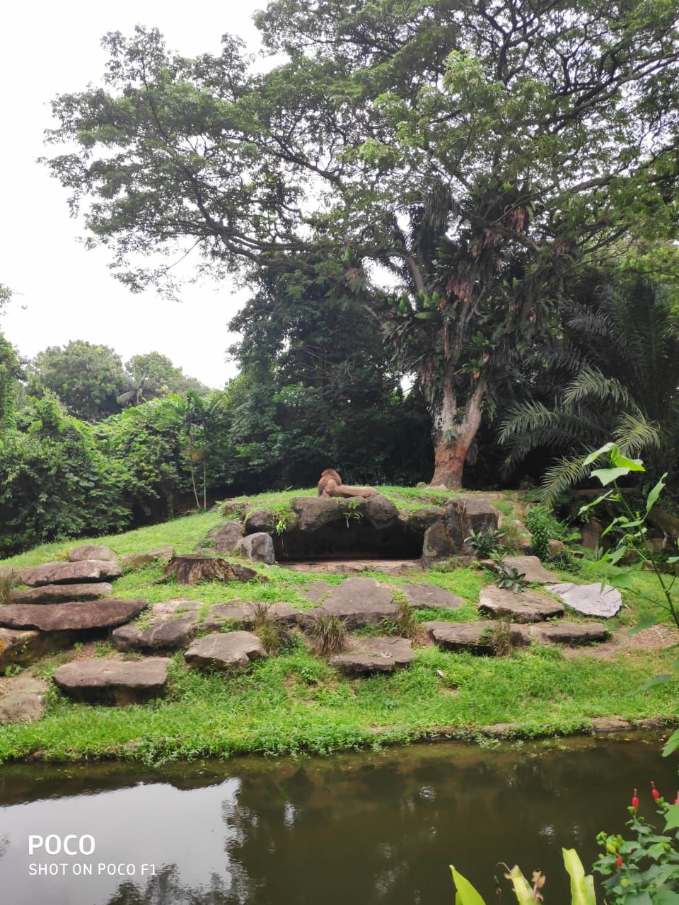 Photo of Singapore, a country with everything. by Nikhil Nanaware