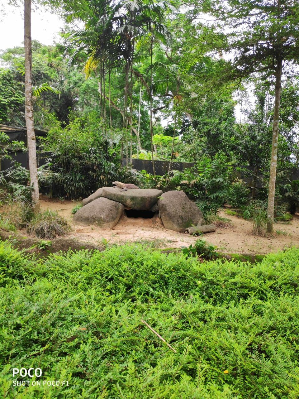 Photo of Singapore, a country with everything. by Nikhil Nanaware