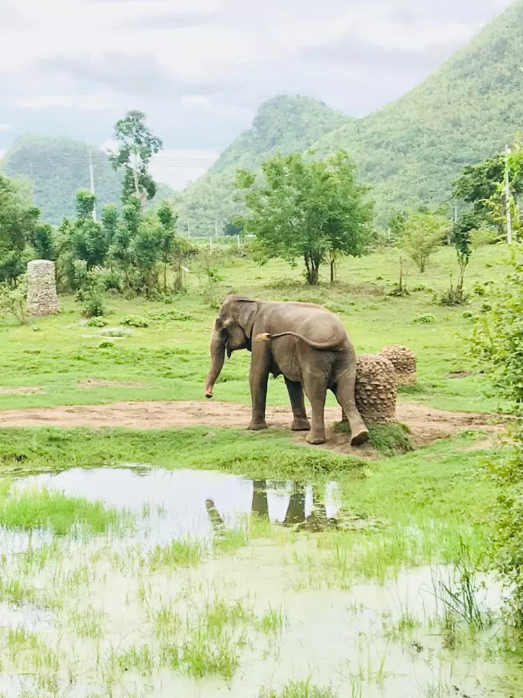 Photo of Kanchanaburi ( Thailand ) by Ananya Singh