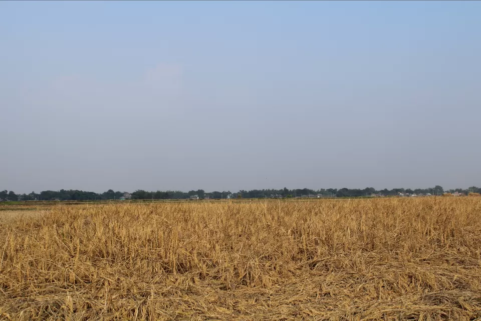 Photo of Nagar By Riya Shaw