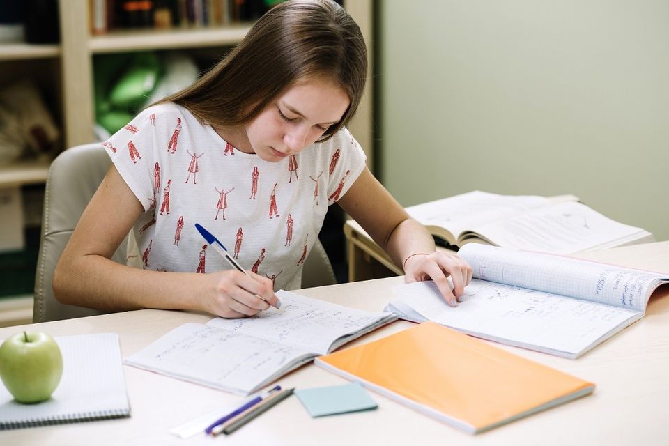 Photo of Tips to Write an Excellent Book Review 1/1 by Robert Fabiano