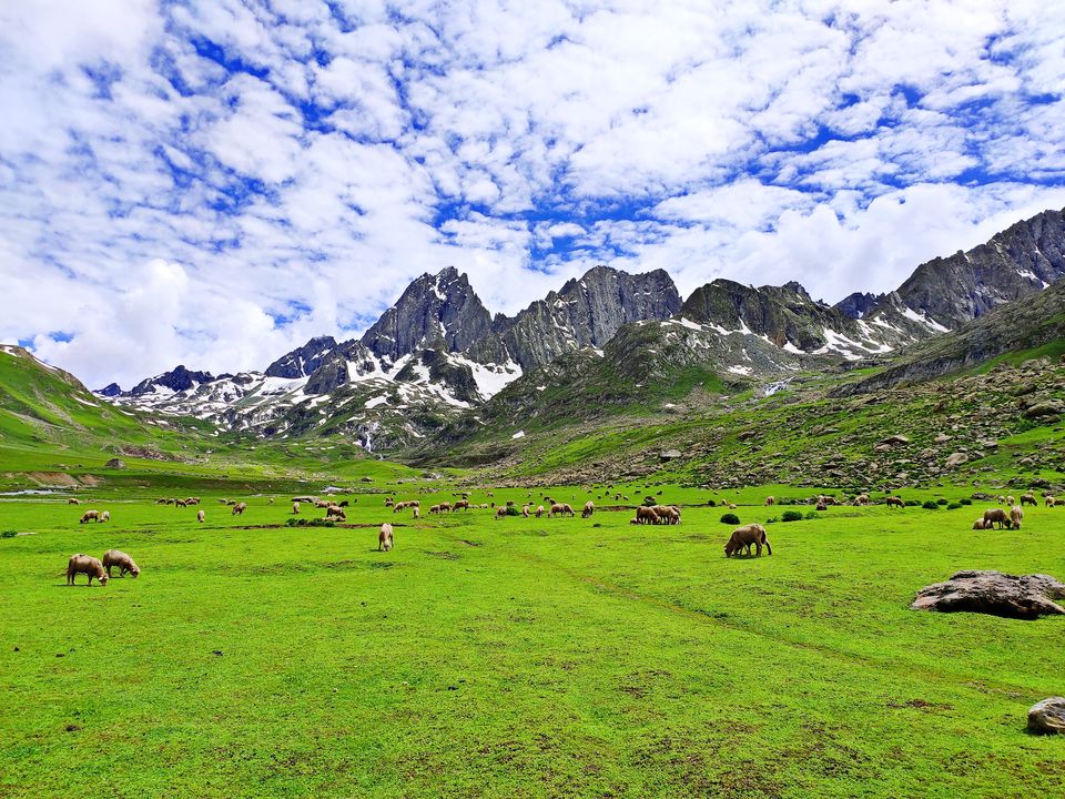 Photo of Great Lakes of Kashmir Trek 6/19 by Gourab Mukherjee