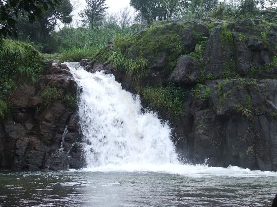 Photo of Magnificent Mahabaleshwar 1/7 by Sushant Mandhanya
