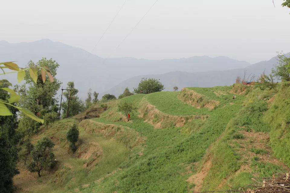 Photo of Backpacking in Uttarakhand by Vishal Ujjain
