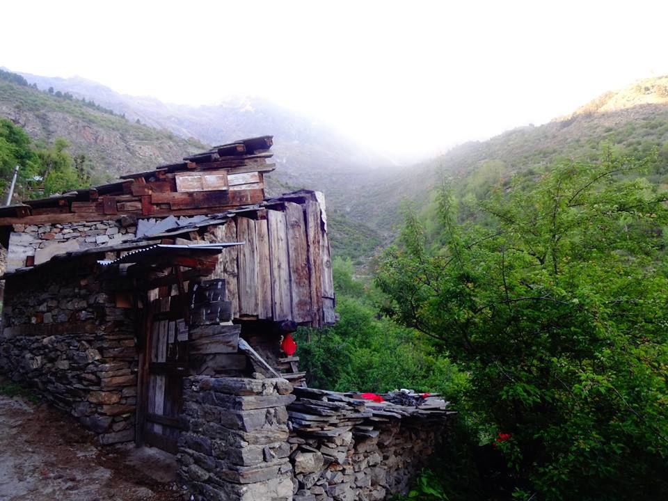 Photo of 10 amazing days in Kinnaur & Spiti Valley – The Middle Land! 14/50 by Aditi Kapoor