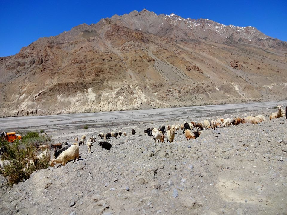 Photo of 10 amazing days in Kinnaur & Spiti Valley – The Middle Land! 39/50 by Aditi Kapoor