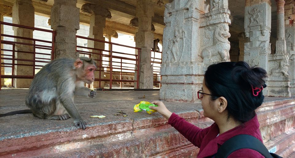 Photo of Don't Worry, Be Hampi! 11/19 by Aditi Kapoor