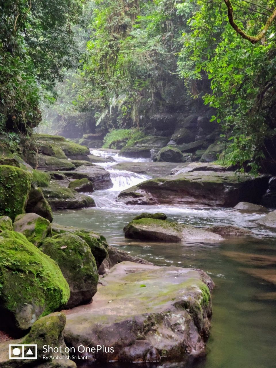 Photo of Meghalaya: The city of waterfalls by Ambs