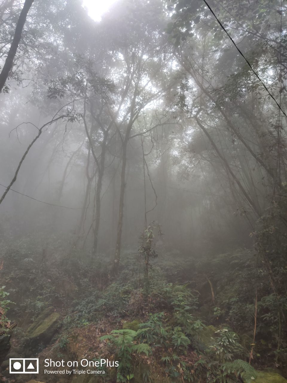 Photo of Meghalaya: The city of waterfalls by Ambs