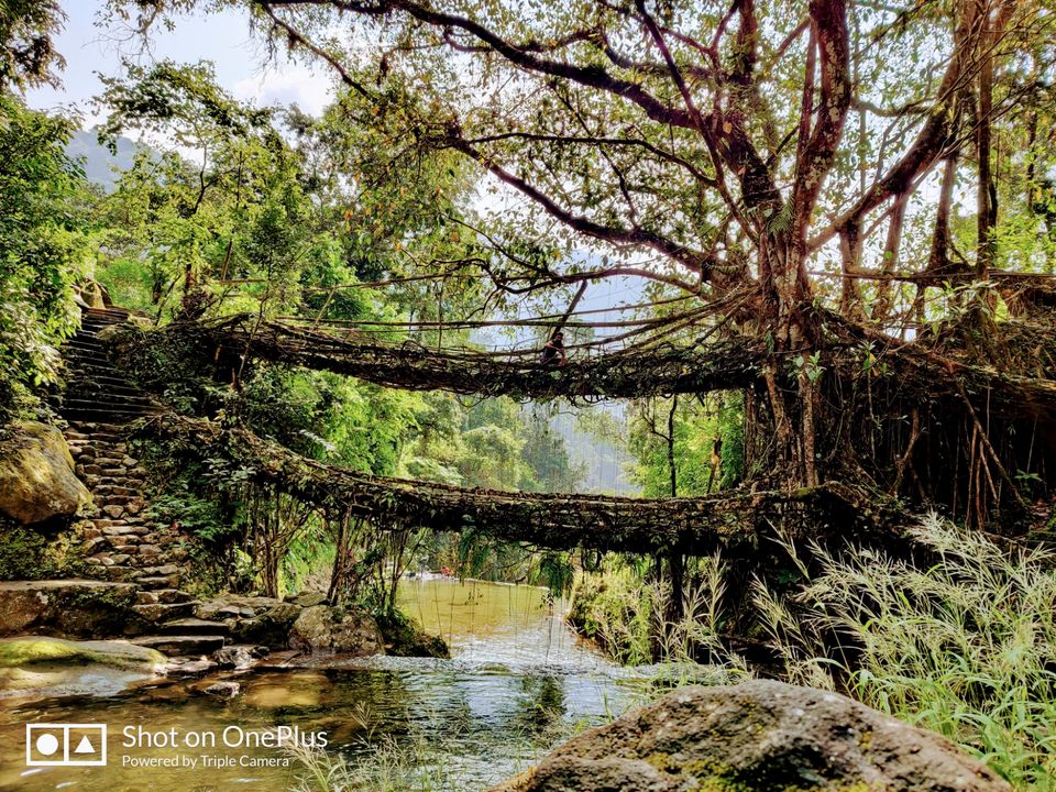 Photo of Meghalaya: The city of waterfalls by Ambs