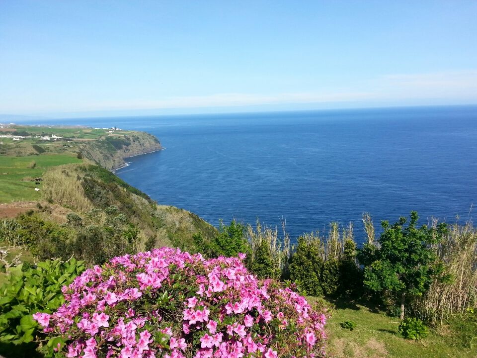 Photo of Paradise in the middle of the ocean at São Miguel Island 17/33 by Anthony Lucas