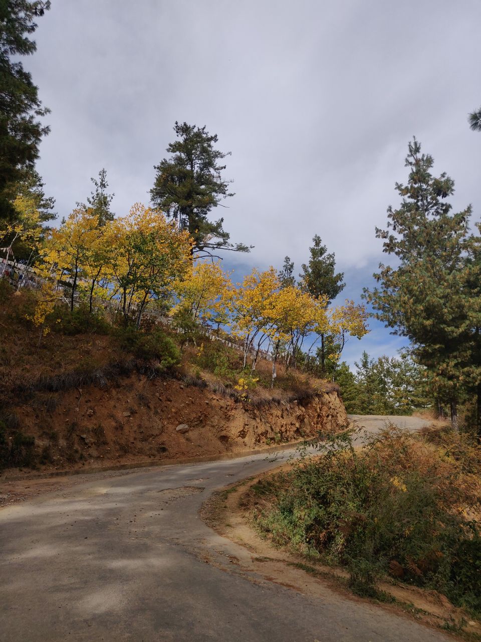 Photo of Best way to explore Bhutan in 5 days #BucketList2019 by Aradhana Mishra