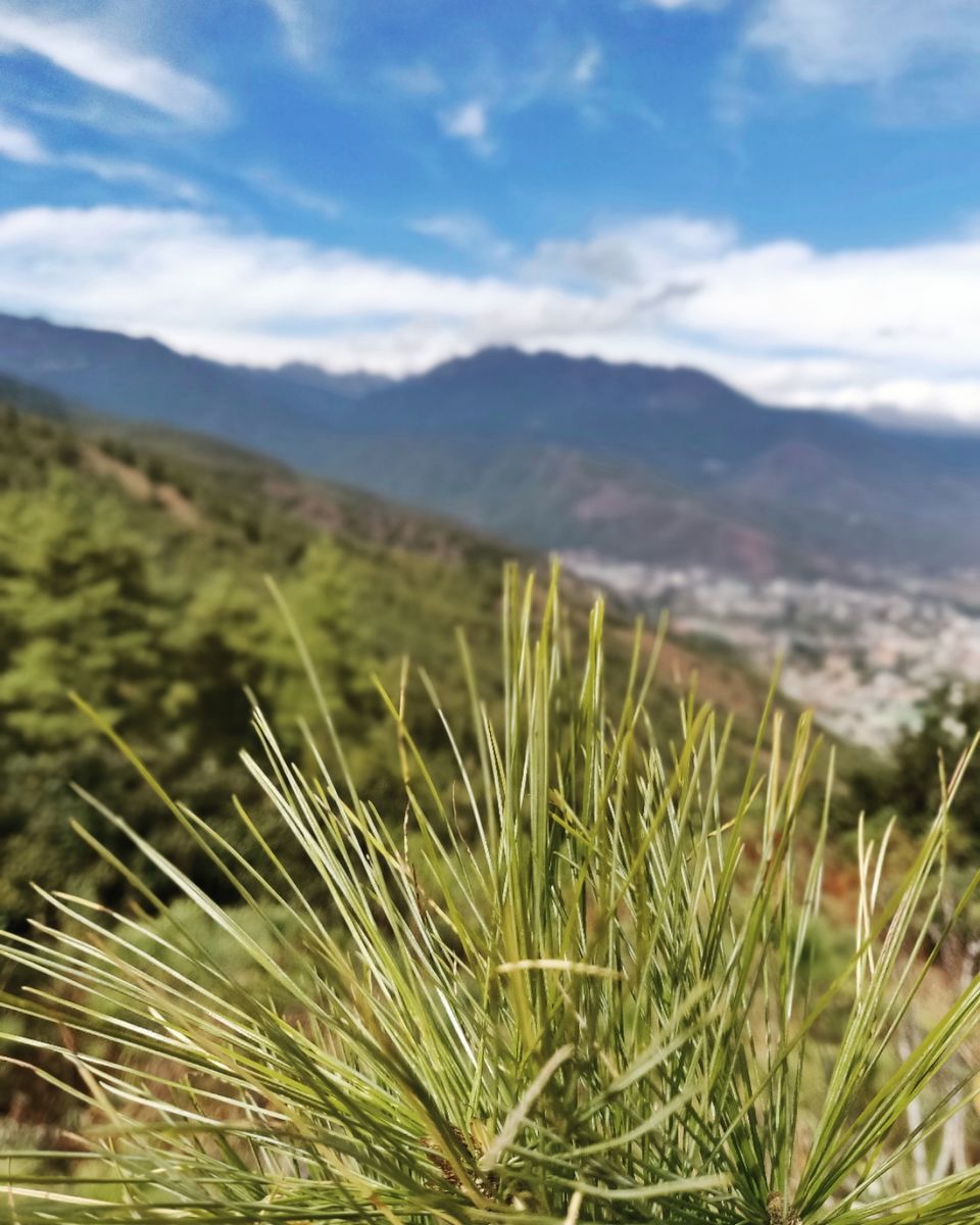 Photo of Best way to explore Bhutan in 5 days #BucketList2019 by Aradhana Mishra