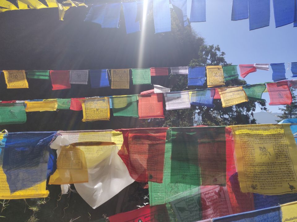 Photo of Best way to explore Bhutan in 5 days #BucketList2019 by Aradhana Mishra