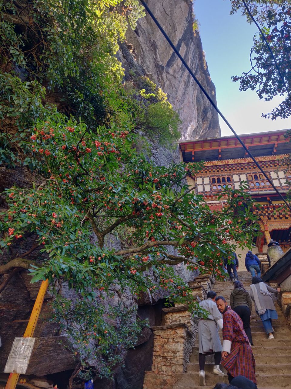 Photo of Best way to explore Bhutan in 5 days #BucketList2019 by Aradhana Mishra