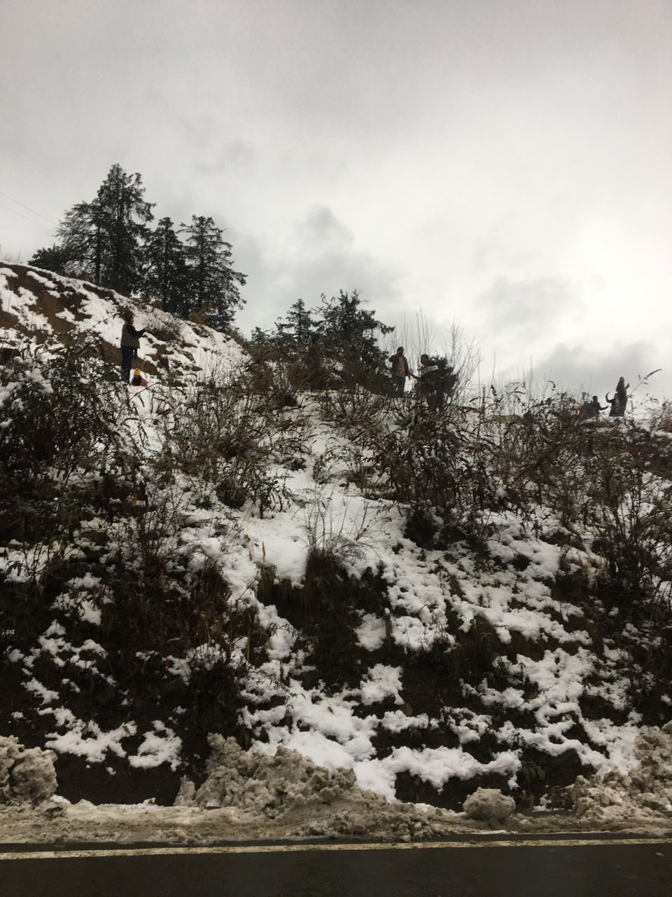 Photo of Love For Mountains.. Mashobra, Shimla And Kufri by Deeksha