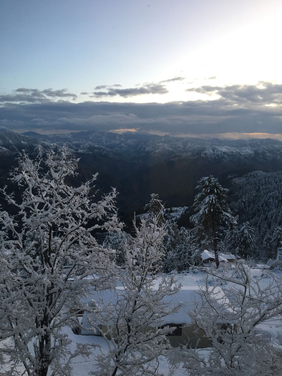 Photo of Love For Mountains.. Mashobra, Shimla And Kufri by Deeksha