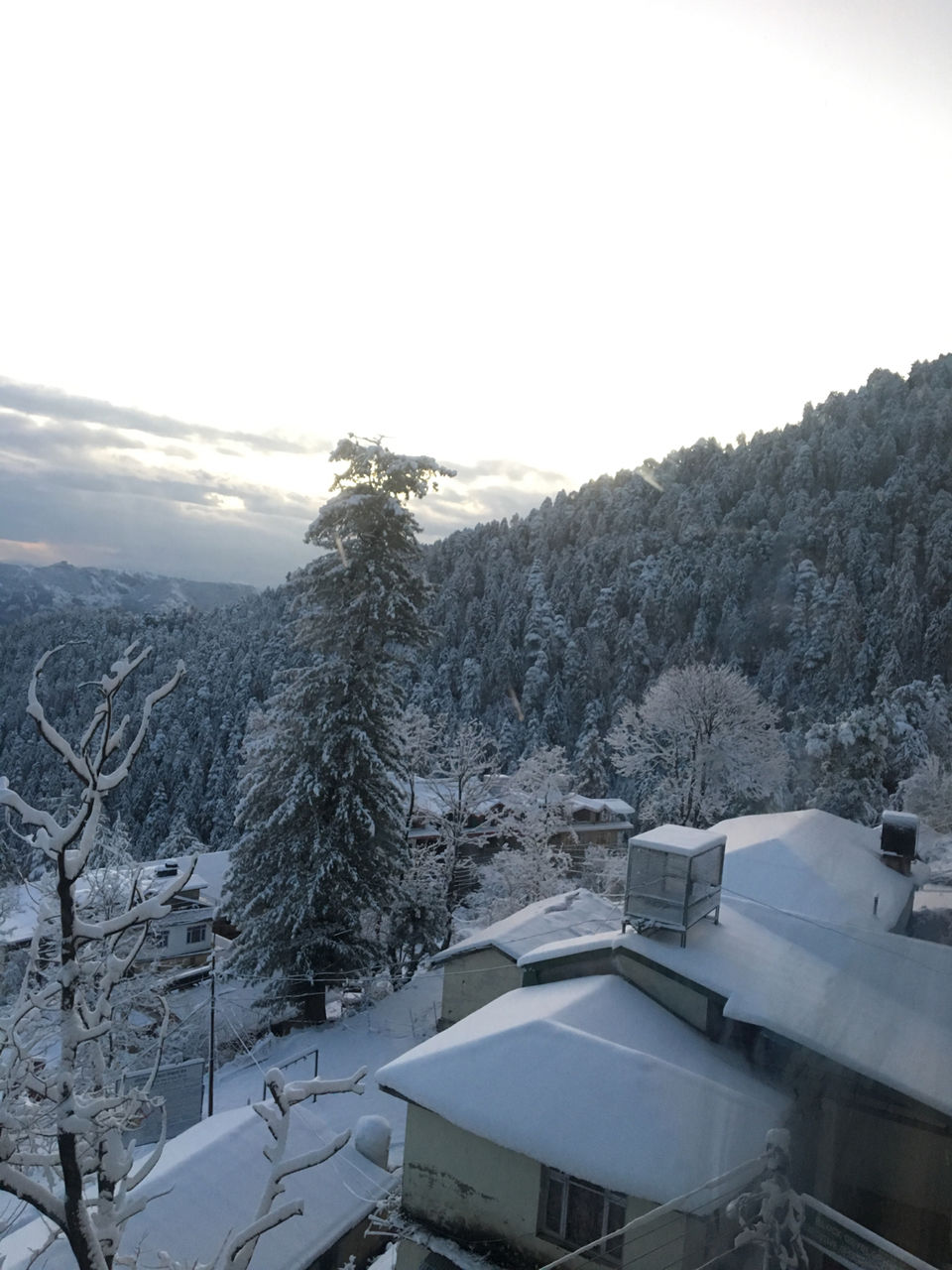 Photo of Love For Mountains.. Mashobra, Shimla And Kufri by Deeksha