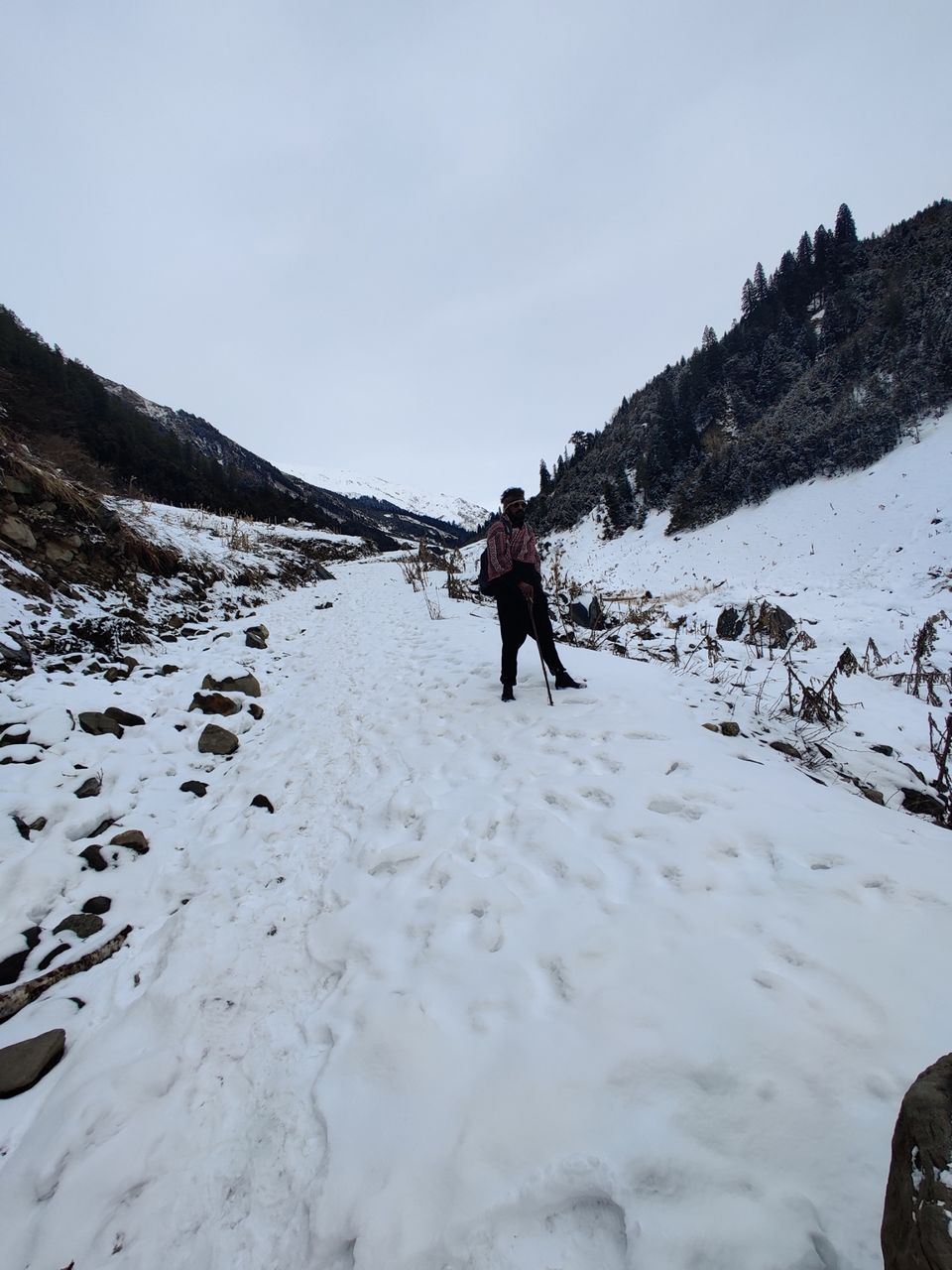 Photo of Moonlight Trek (CHECK) by Manikandan Dhanabal