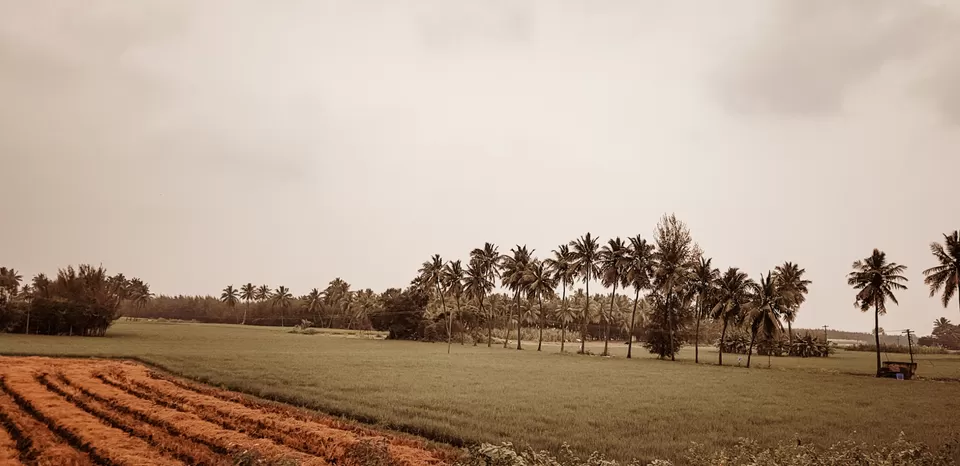 Photo of Pondicherry, Puducherry, India by Prithvin Premachandran