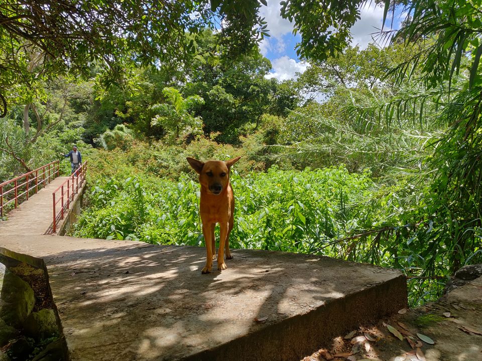 Photo of Bomburuella Waterfall Uva Paranagama by Sachin Singh Gusain