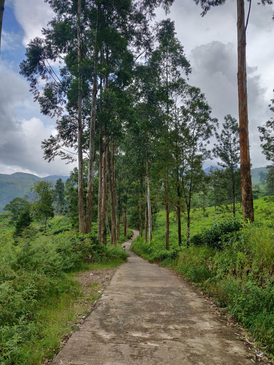 Photo of Bomburuella Waterfall Uva Paranagama by Sachin Singh Gusain